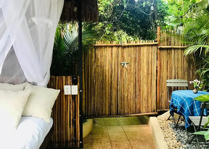 Hacienda Boutique B&b&spa Solo Adultos Bed and breakfast
