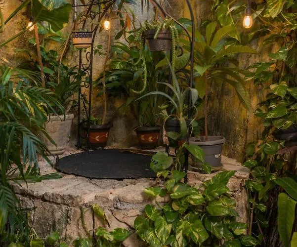 Hacienda Boutique B&b&spa Solo Adultos Bed and breakfast Cozumel