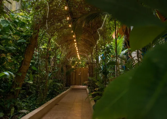 Bed and breakfast Hacienda Boutique B&b&spa Solo Adultos Cozumel