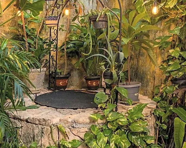 Hacienda Boutique B&b&spa Solo Adultos Bed and breakfast 4*