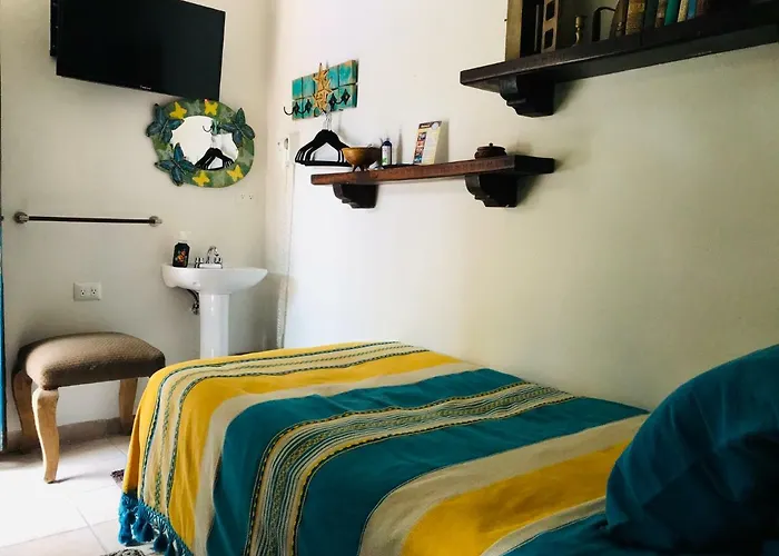 Hacienda Boutique B&b&spa Solo Adultos Bed and breakfast